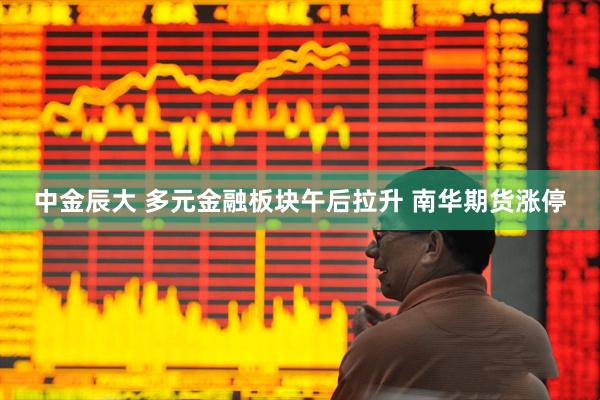 中金辰大 多元金融板块午后拉升 南华期货涨停