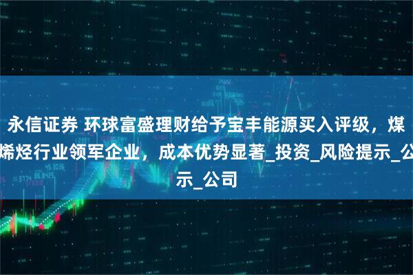 永信证券 环球富盛理财给予宝丰能源买入评级，煤制烯烃行业领军企业，成本优势显著_投资_风险提示_公司