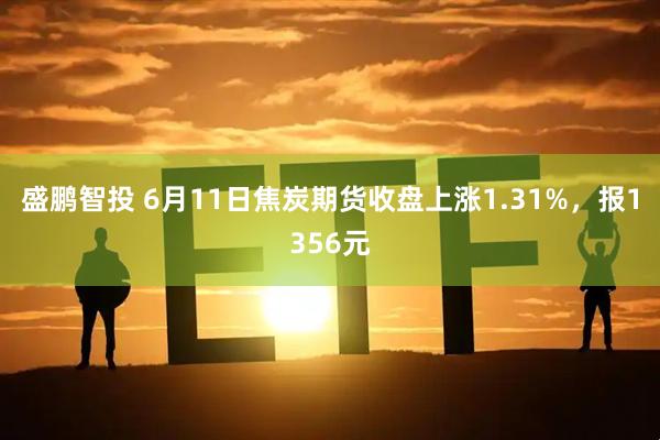 盛鹏智投 6月11日焦炭期货收盘上涨1.31%，报1356元